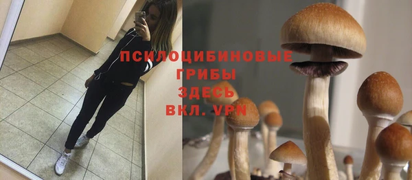 мескалин Богородицк