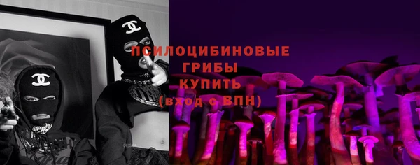 твердый Богородск