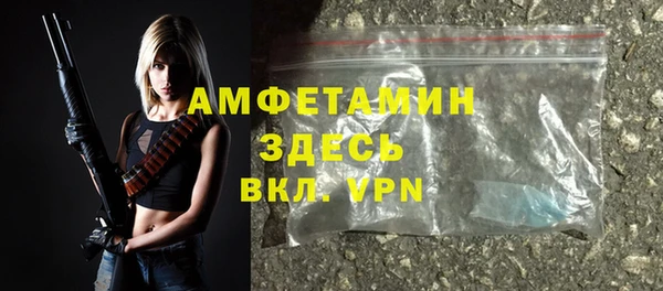 спайс Богданович