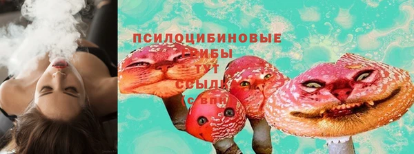 спайс Богданович