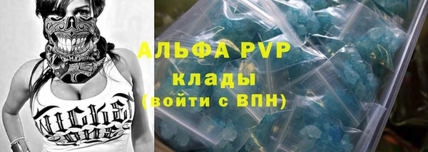 спайс Богданович