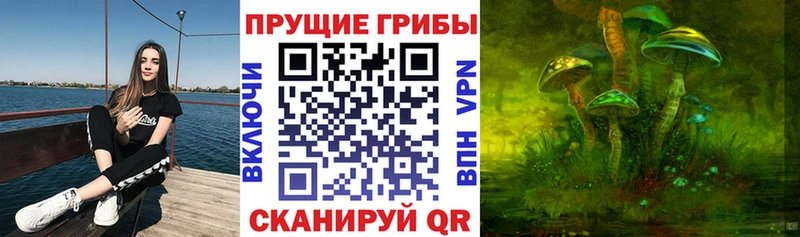 Псилоцибиновые грибы Psilocybine cubensis  Купить где  Воронеж 